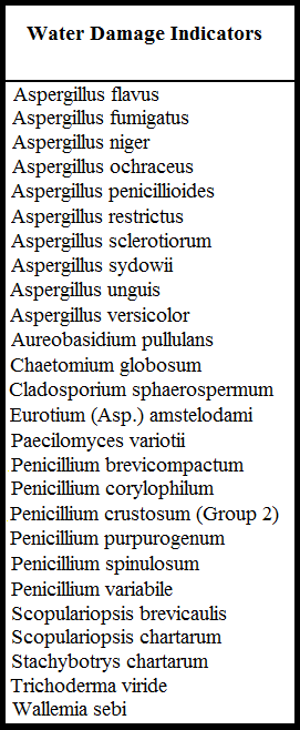 Abnormal Molds