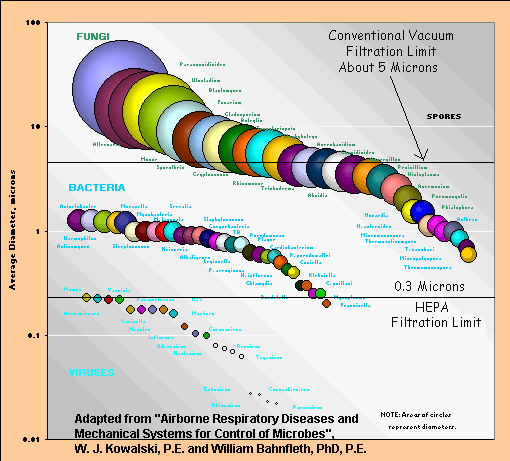 Biota Size perspective