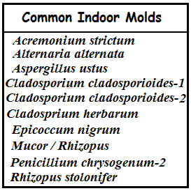 Normal Molds